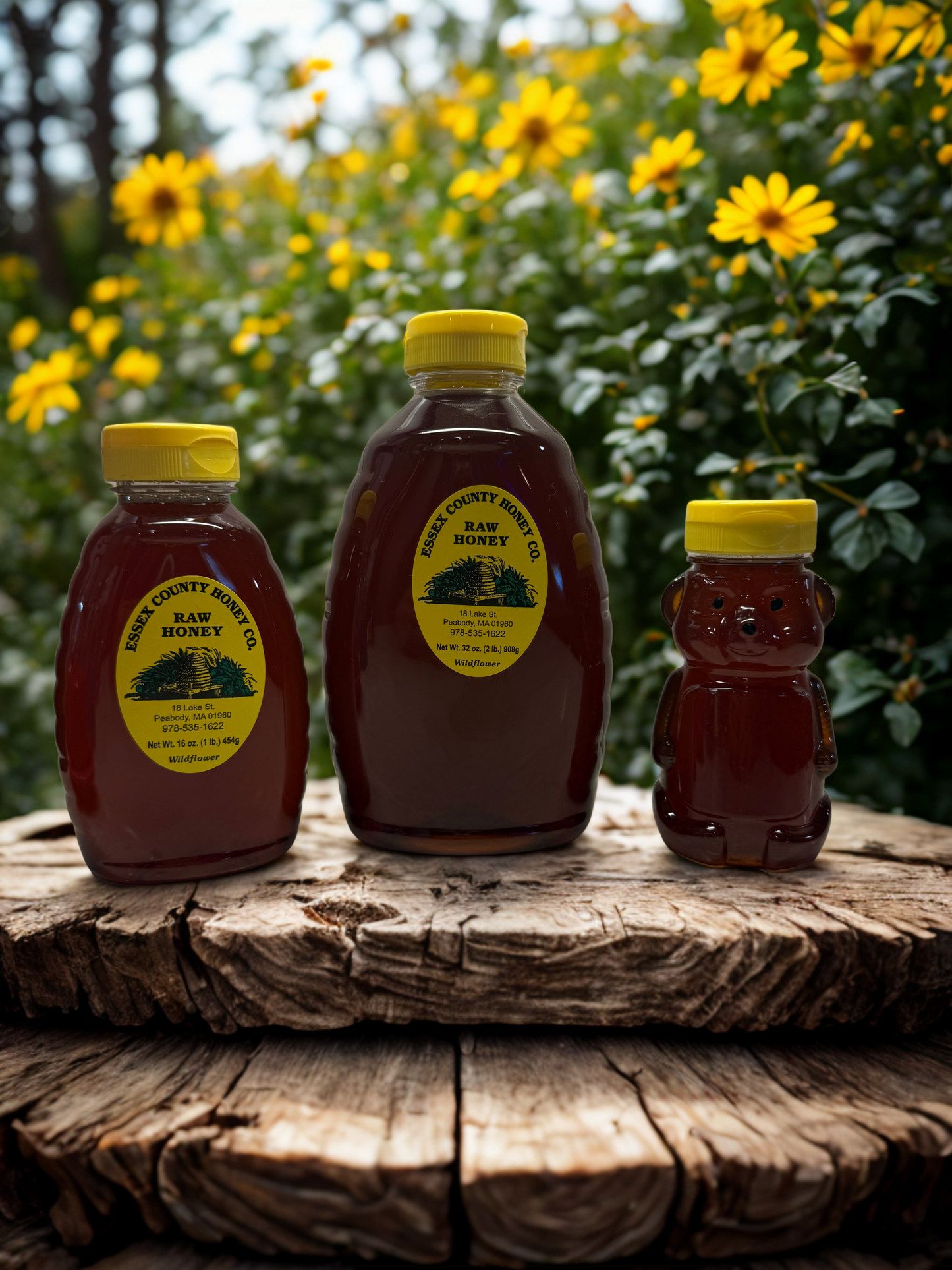 Local Raw Honey - Light or Dark (Dark Honey Shown)
